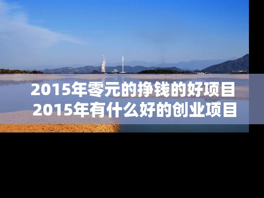 2015年零元的挣钱的好项目 2015年有什么好的创业项目呢