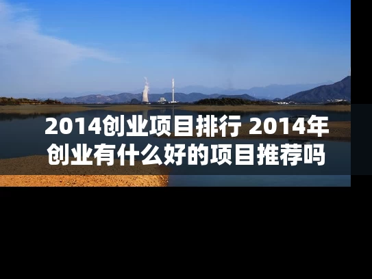 2014创业项目排行 2014年创业有什么好的项目推荐吗