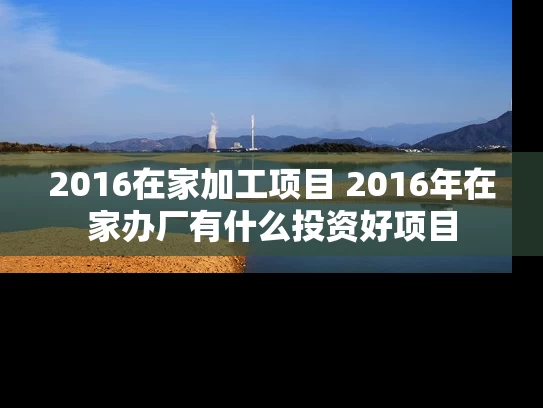2016在家加工项目 2016年在家办厂有什么投资好项目