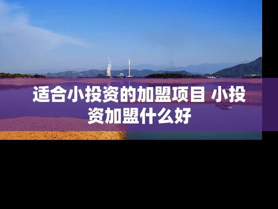 适合小投资的加盟项目 小投资加盟什么好