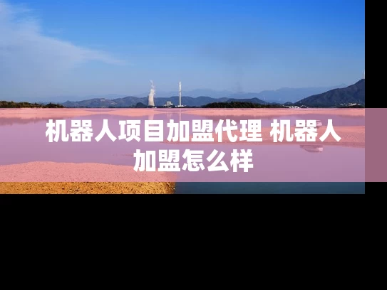 机器人项目加盟代理 机器人加盟怎么样