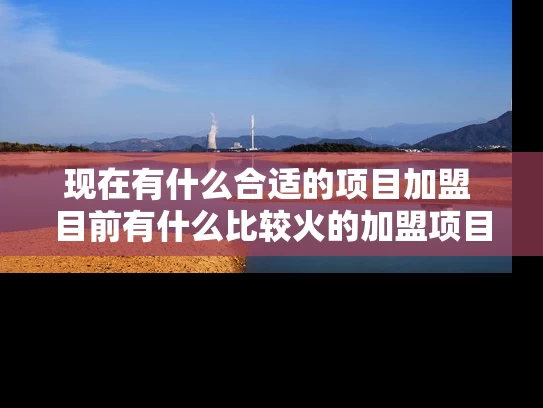 现在有什么合适的项目加盟 目前有什么比较火的加盟项目