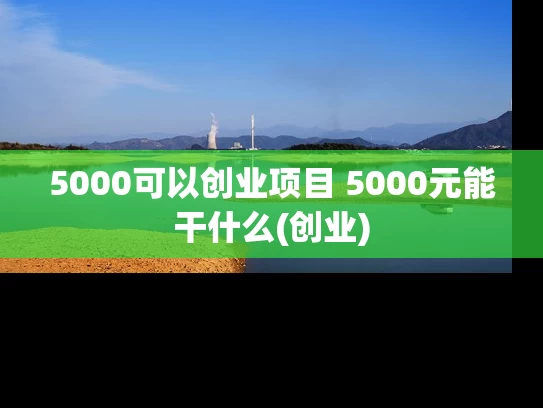 5000可以创业项目 5000元能干什么(创业)