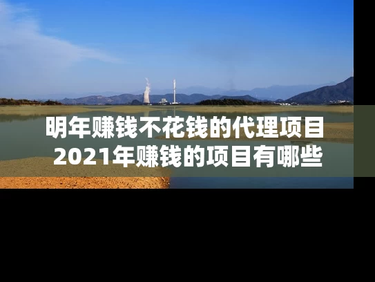 明年赚钱不花钱的代理项目 2021年赚钱的项目有哪些