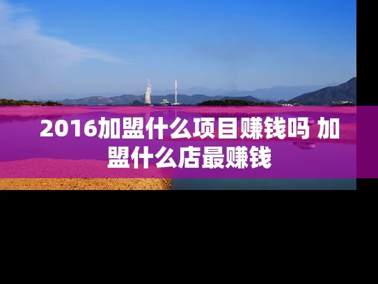 2016加盟什么项目赚钱吗 加盟什么店最赚钱