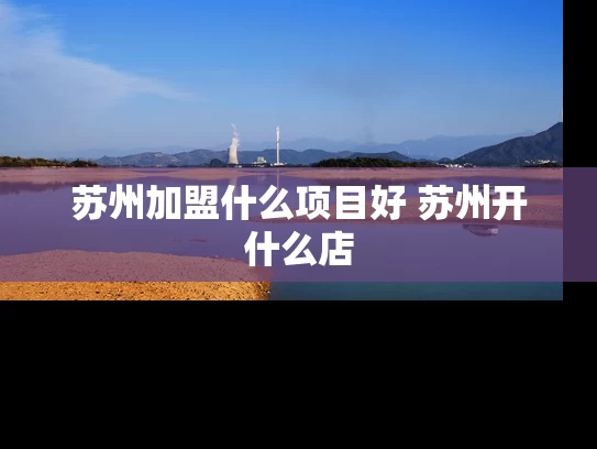 苏州加盟什么项目好 苏州开什么店