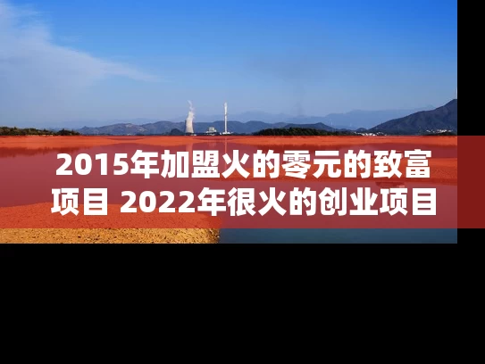 2015年加盟火的零元的致富项目 2022年很火的创业项目