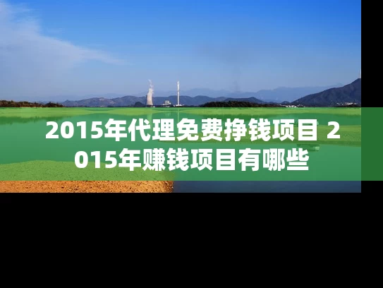 2015年代理免费挣钱项目 2015年赚钱项目有哪些