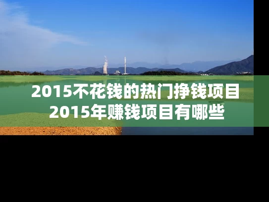 2015不花钱的热门挣钱项目 2015年赚钱项目有哪些