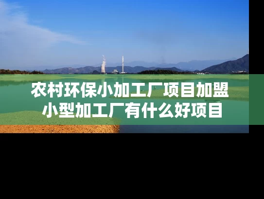 农村环保小加工厂项目加盟 小型加工厂有什么好项目