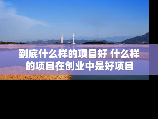 到底什么样的项目好 什么样的项目在创业中是好项目