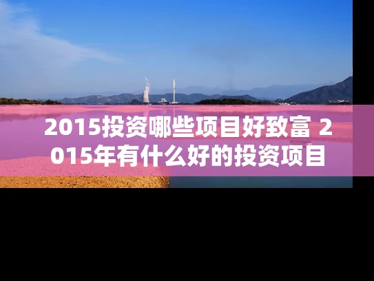 2015投资哪些项目好致富 2015年有什么好的投资项目