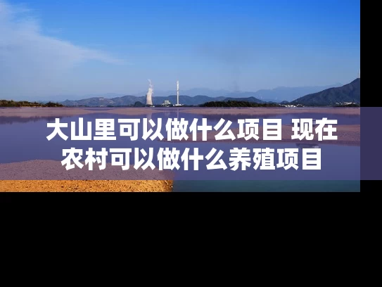 大山里可以做什么项目 现在农村可以做什么养殖项目