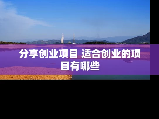 分享创业项目 适合创业的项目有哪些
