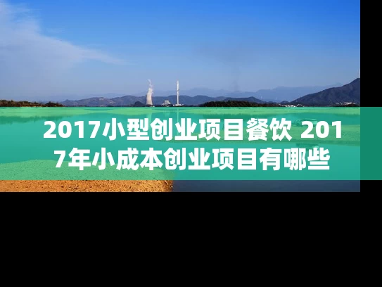 2017小型创业项目餐饮 2017年小成本创业项目有哪些