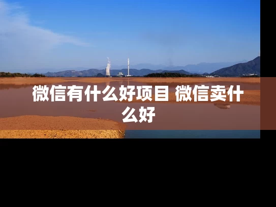 微信有什么好项目 微信卖什么好
