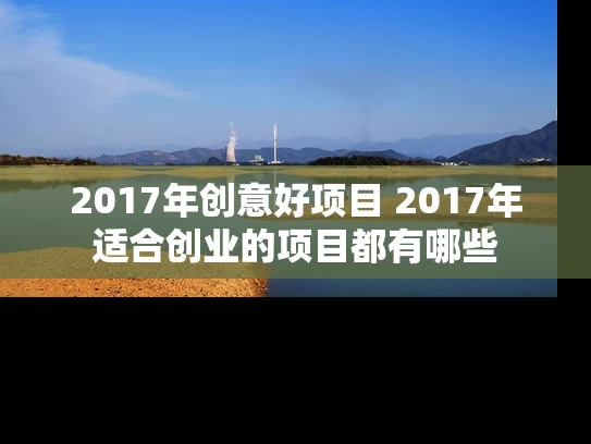 2017年创意好项目 2017年适合创业的项目都有哪些