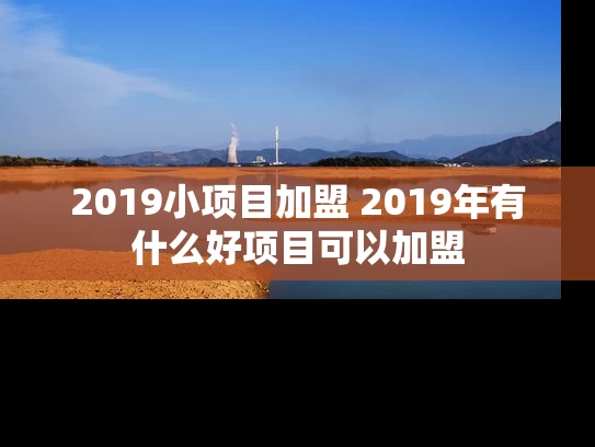 2019小项目加盟 2019年有什么好项目可以加盟