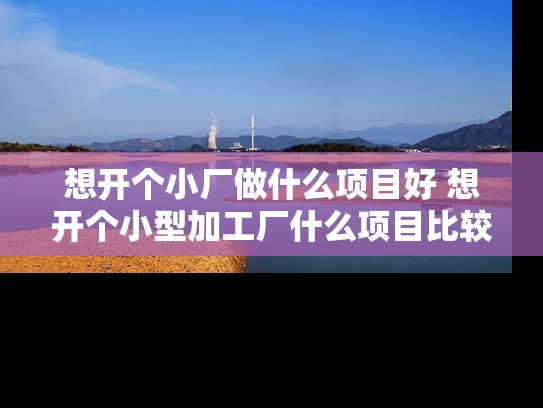 想开个小厂做什么项目好 想开个小型加工厂什么项目比较赚钱