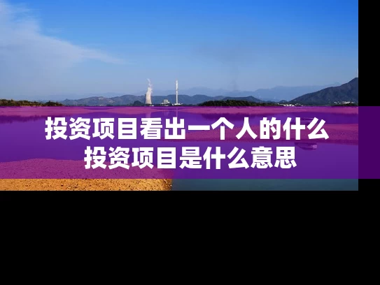 投资项目看出一个人的什么 投资项目是什么意思