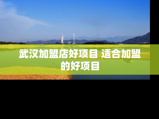 武汉加盟店好项目 适合加盟的好项目