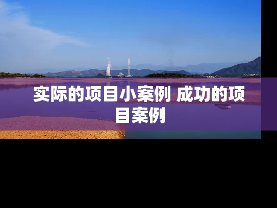实际的项目小案例 成功的项目案例