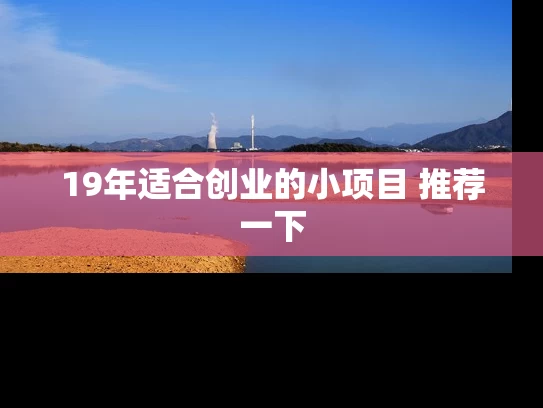 19年适合创业的小项目 推荐一下