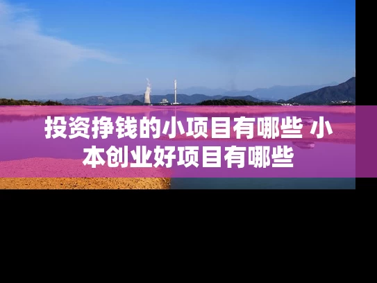 投资挣钱的小项目有哪些 小本创业好项目有哪些 投资挣钱的小项目有哪些 小本创业好项目有哪些