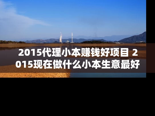 2015代理小本赚钱好项目 2015现在做什么小本生意最好赚钱 2015代理小本赚钱好项目 2015现在做什么小本生意最好赚钱