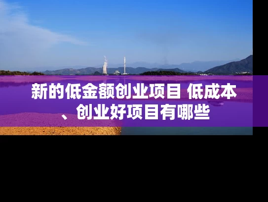 新的低金额创业项目 低成本、创业好项目有哪些