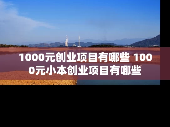 1000元创业项目有哪些 1000元小本创业项目有哪些
