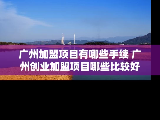 广州加盟项目有哪些手续 广州创业加盟项目哪些比较好