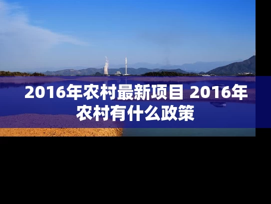 2016年农村最新项目 2016年农村有什么政策