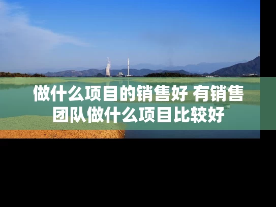 做什么项目的销售好 有销售团队做什么项目比较好 做什么项目的销售好 有销售团队做什么项目比较好