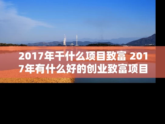 2017年干什么项目致富 2017年有什么好的创业致富项目