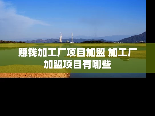 赚钱加工厂项目加盟 加工厂加盟项目有哪些 赚钱加工厂项目加盟 加工厂加盟项目有哪些