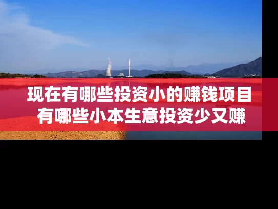 现在有哪些投资小的赚钱项目 有哪些小本生意投资少又赚钱的项目呢