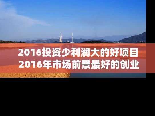 2016投资少利润大的好项目 2016年市场前景最好的创业项目 2016投资少利润大的好项目 2016年市场前景最好的创业项目