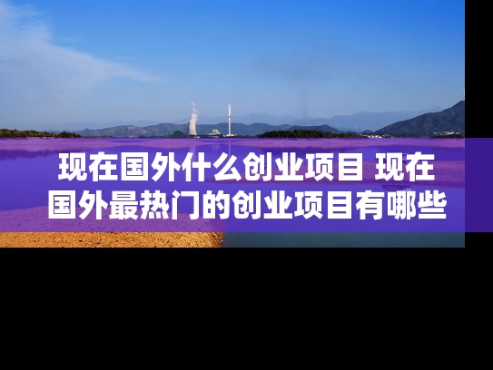 现在国外什么创业项目 现在国外最热门的创业项目有哪些