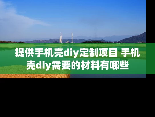 提供手机壳diy定制项目 手机壳diy需要的材料有哪些 提供手机壳diy定制项目 手机壳diy需要的材料有哪些