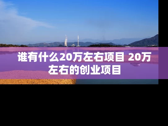 谁有什么20万左右项目 20万左右的创业项目