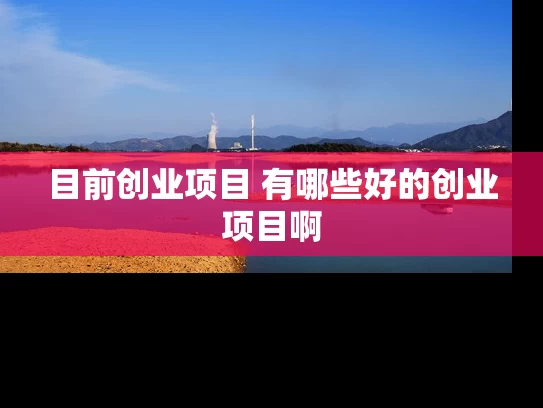 目前创业项目 有哪些好的创业项目啊