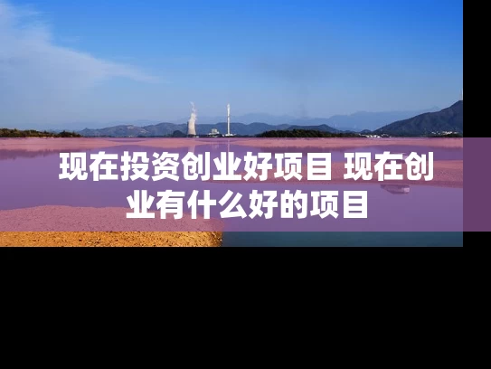 现在投资创业好项目 现在创业有什么好的项目