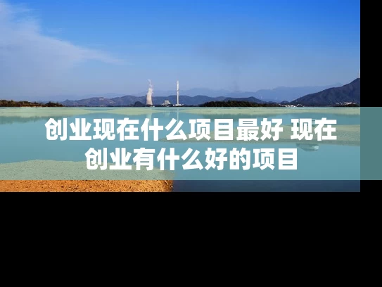 创业现在什么项目最好 现在创业有什么好的项目