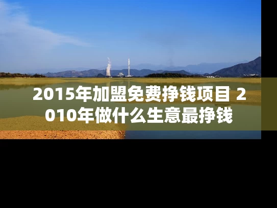 2015年加盟免费挣钱项目 2010年做什么生意最挣钱