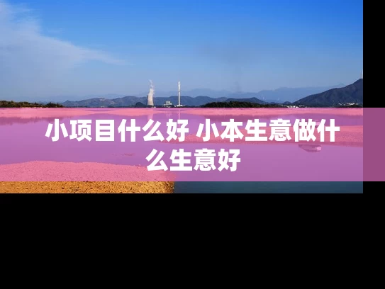小项目什么好 小本生意做什么生意好 小项目什么好 小本生意做什么生意好