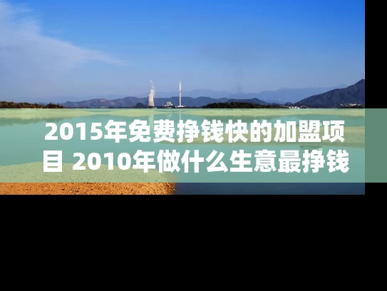 2015年免费挣钱快的加盟项目 2010年做什么生意最挣钱