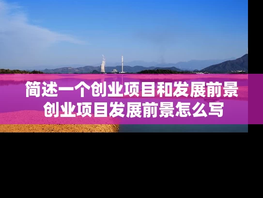 简述一个创业项目和发展前景 创业项目发展前景怎么写