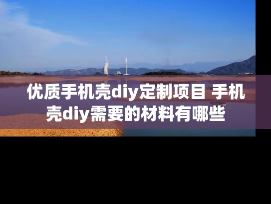 优质手机壳diy定制项目 手机壳diy需要的材料有哪些