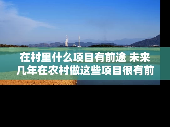在村里什么项目有前途 未来几年在农村做这些项目很有前途